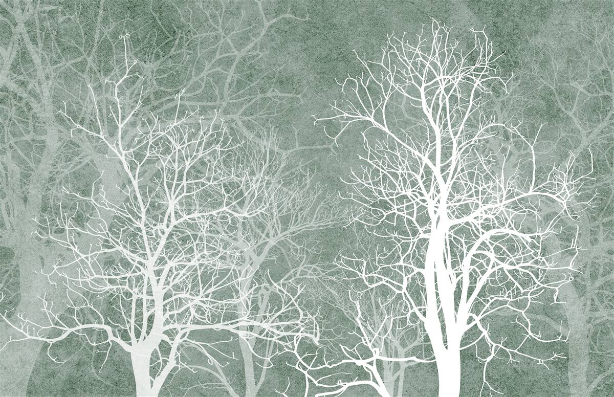 Fotobehang bomen in een sneeuwwitte versiering tegen de nachtelijke hemel