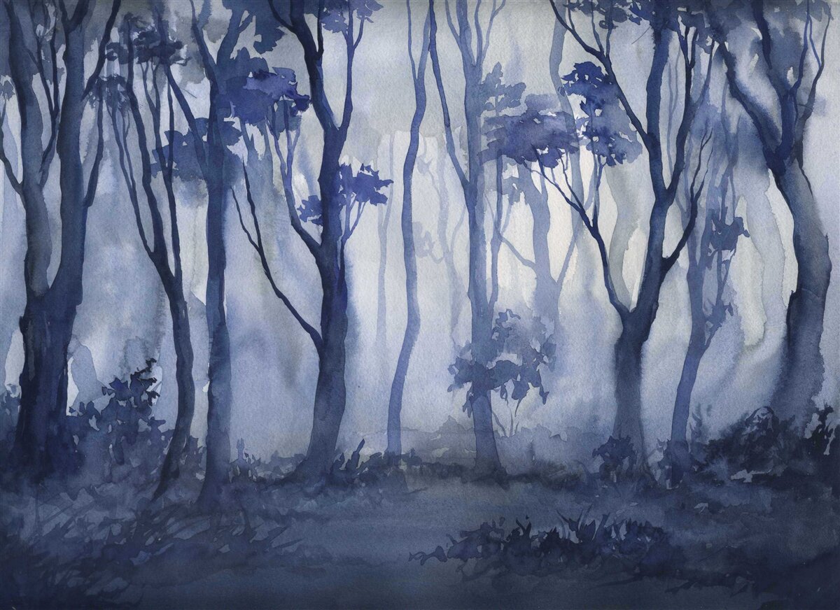 Fotobehang dichte mist in het bos