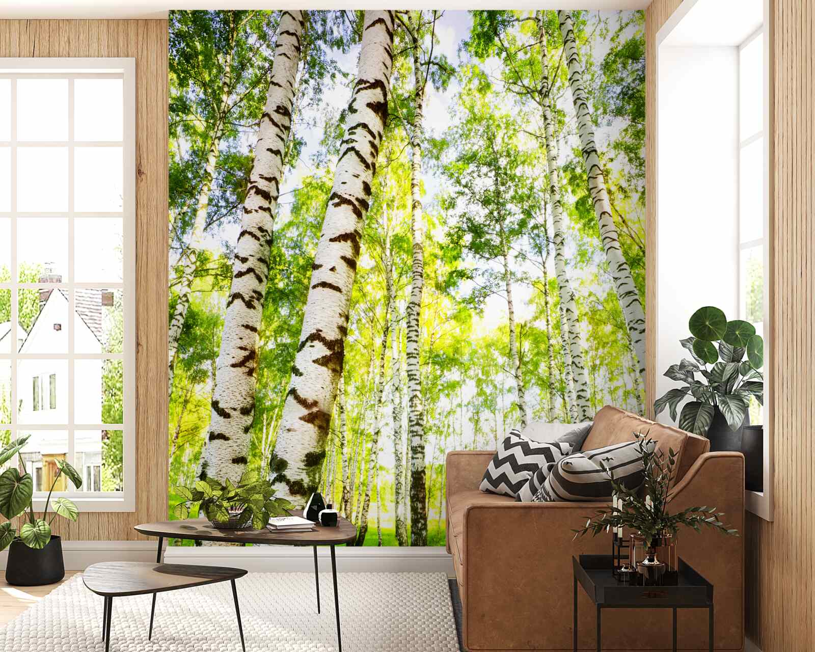 Fotobehang een zomers bosje van slanke berken