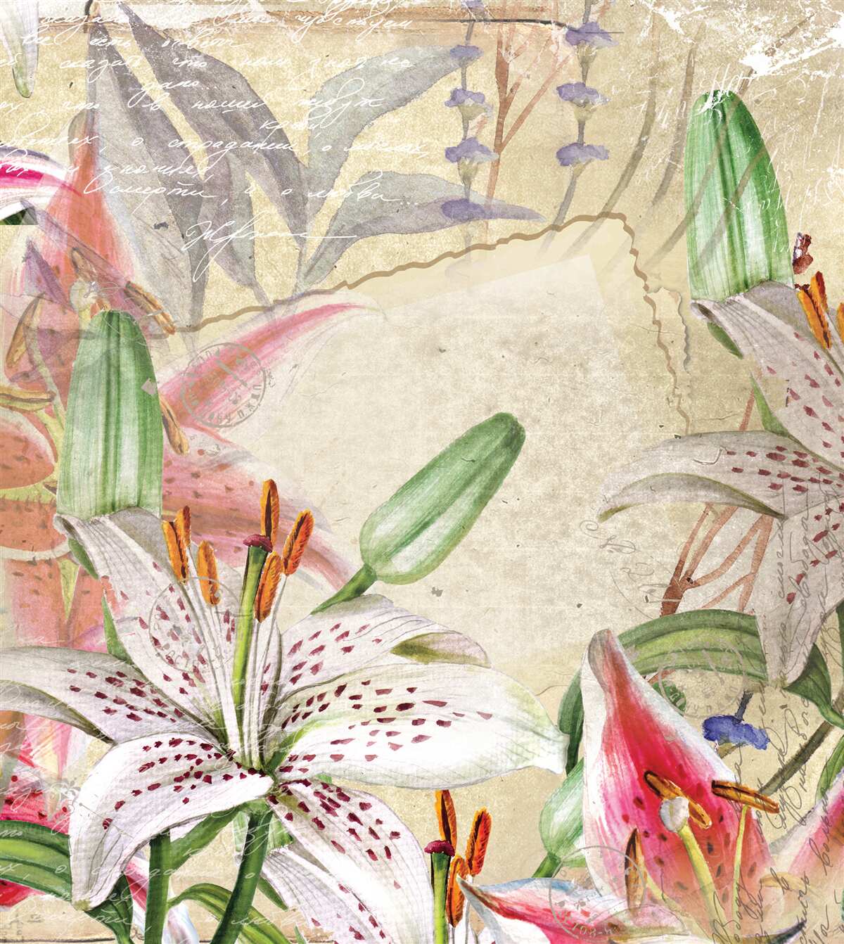 Fotobehang sneeuwwitte lelies in bloei