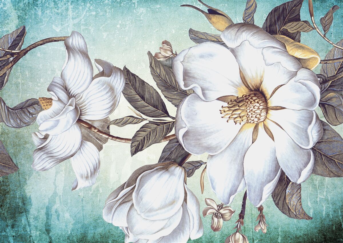 Fotobehang sneeuwwitte bloemen bloeien