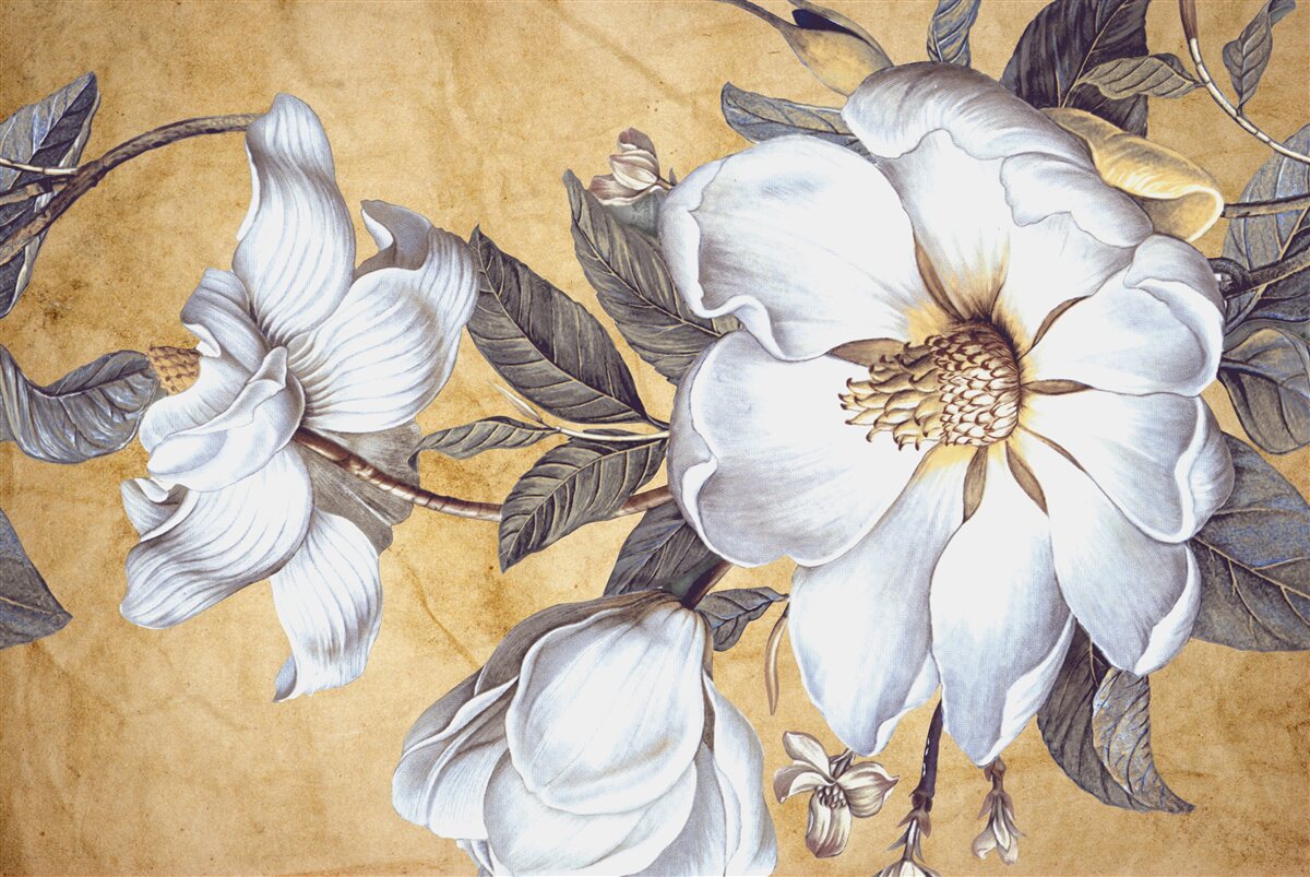 Fotobehang bloeiende witte knoppen aan takken