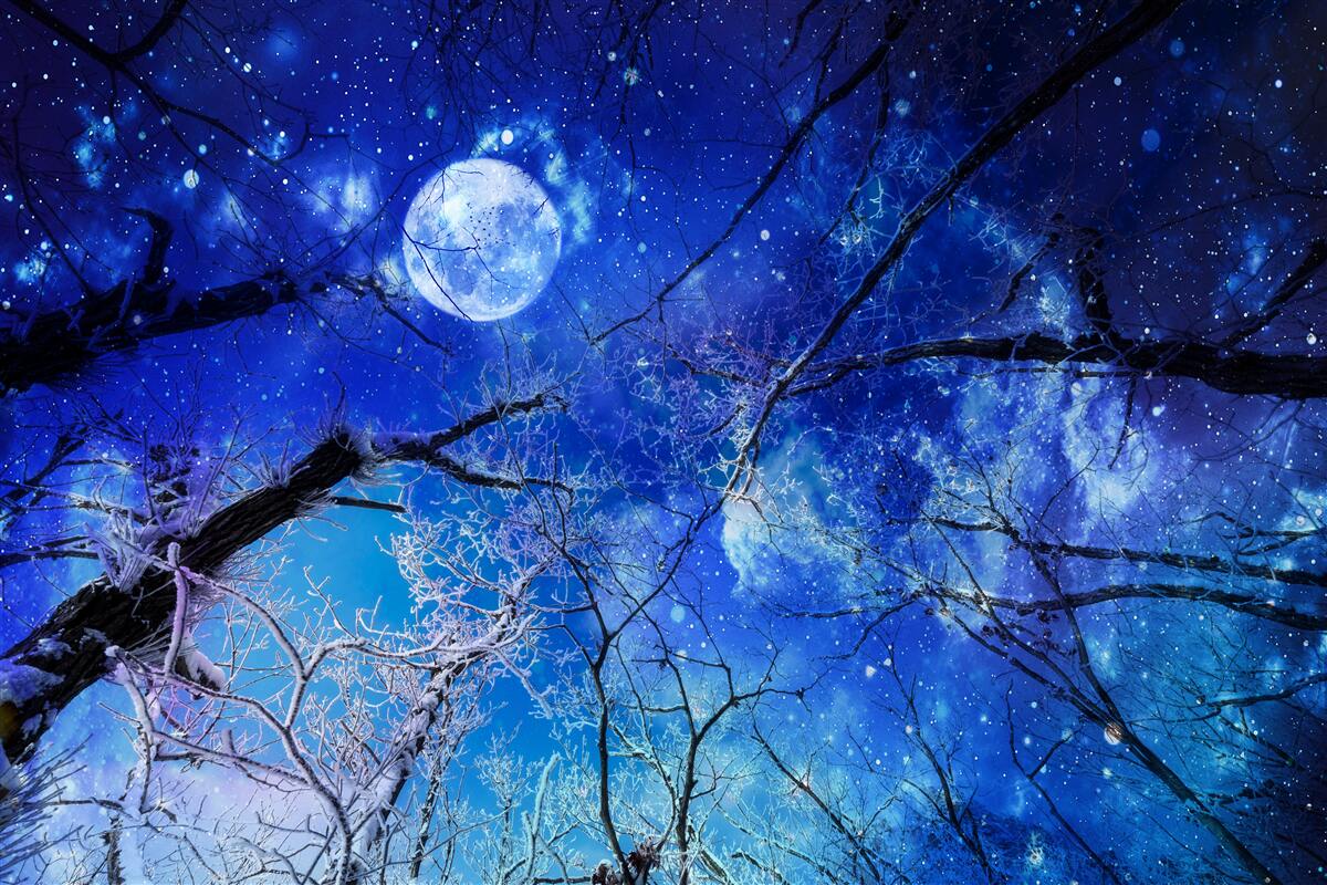 Fotobehang heldere nachtelijke hemel en maan