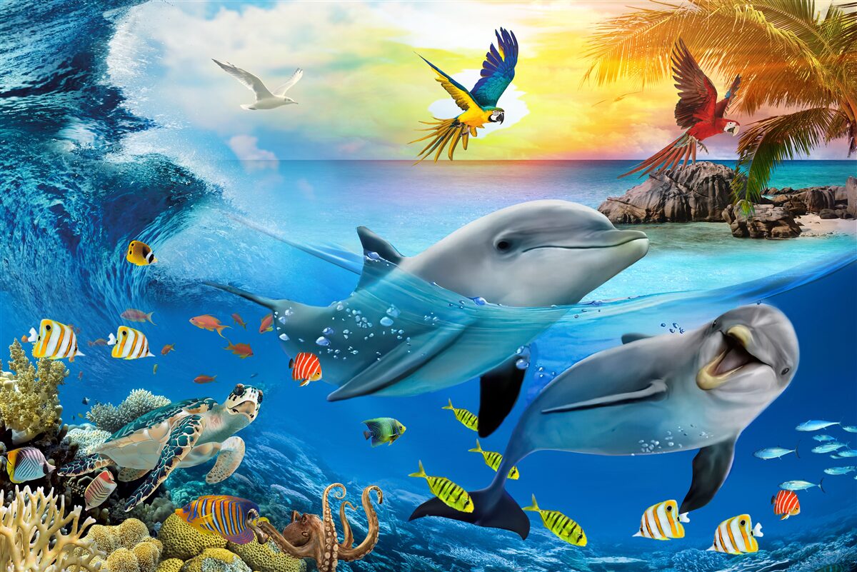 Fotobehang Dageraad wacht op de dolfijnen