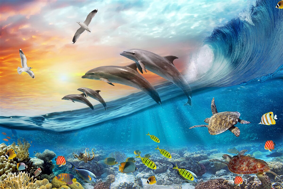 Fotobehang dolfijnen springen uit de golven