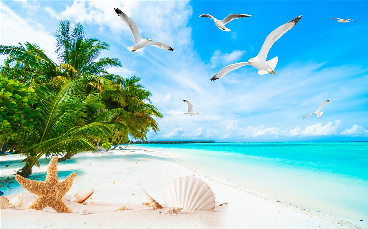 Fotobehang kalme tropische kust