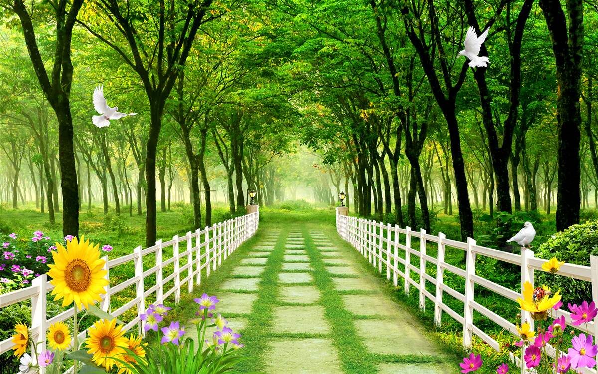 Fotobehang weelderig groen bos en een pad bezaaid met bloemen