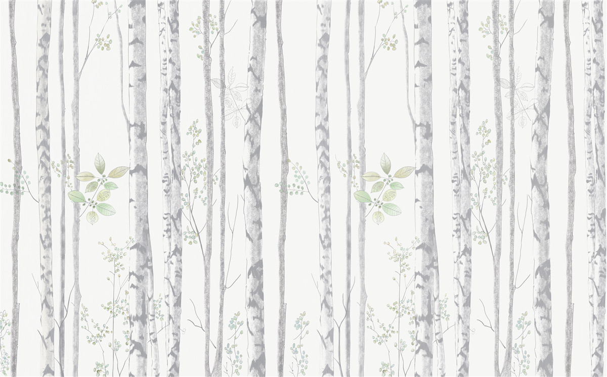 Fotobehang dunne berken