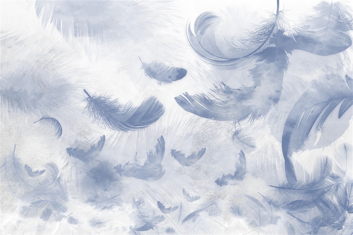 Fotobehang vliegende veren van de hemel