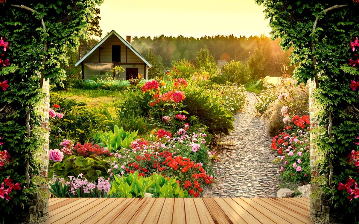 Fotobehang natuurlijk landschap met een huis