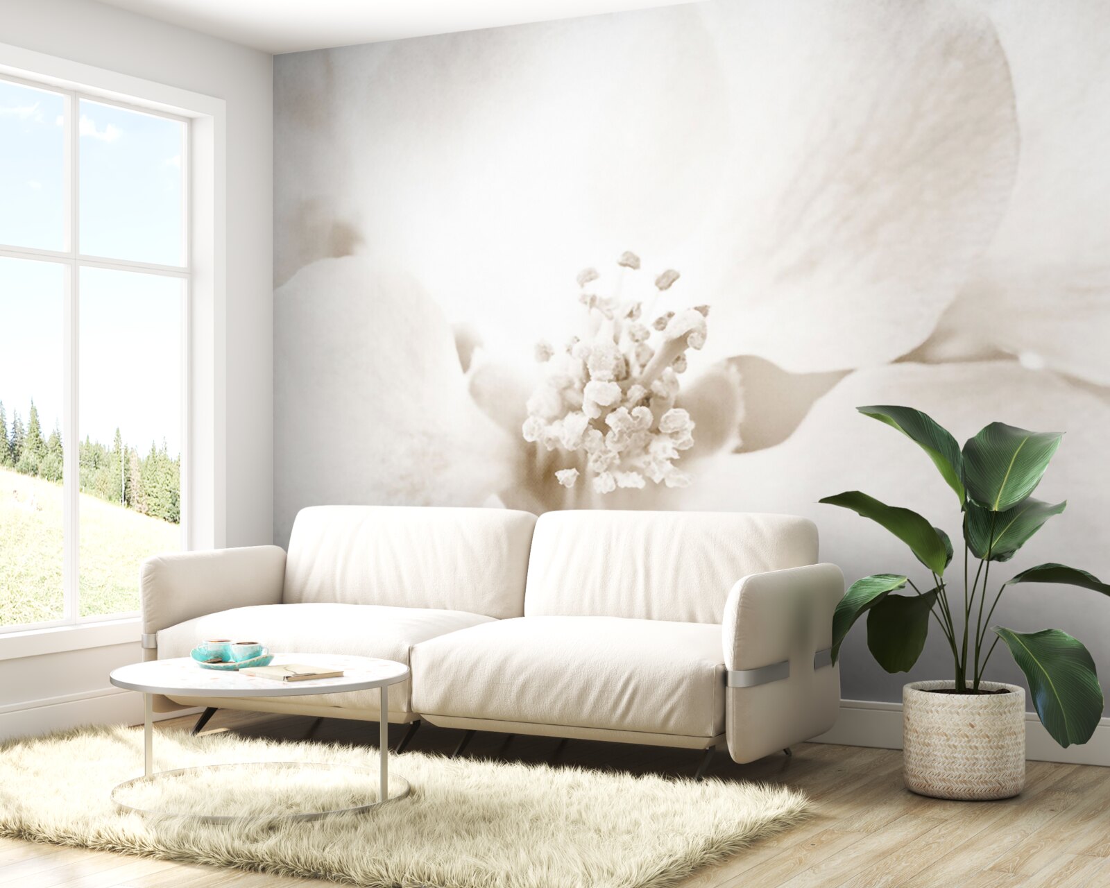 Fotobehang grote delicate orchidee knop