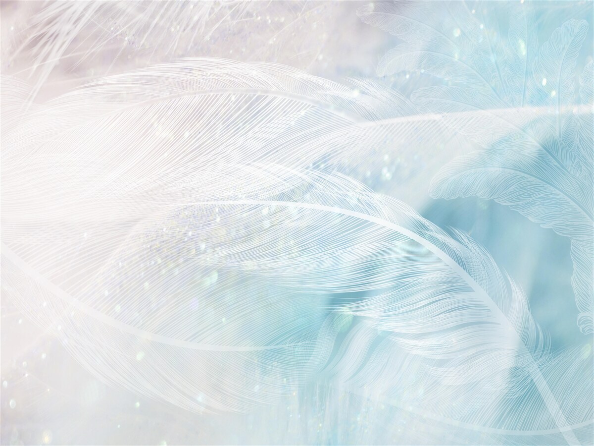 Fotobehang veren in het abstracte