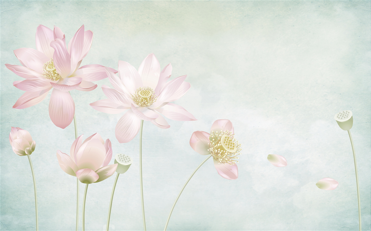 Fotobehang sierlijke klaprozen op een blauwe achtergrond