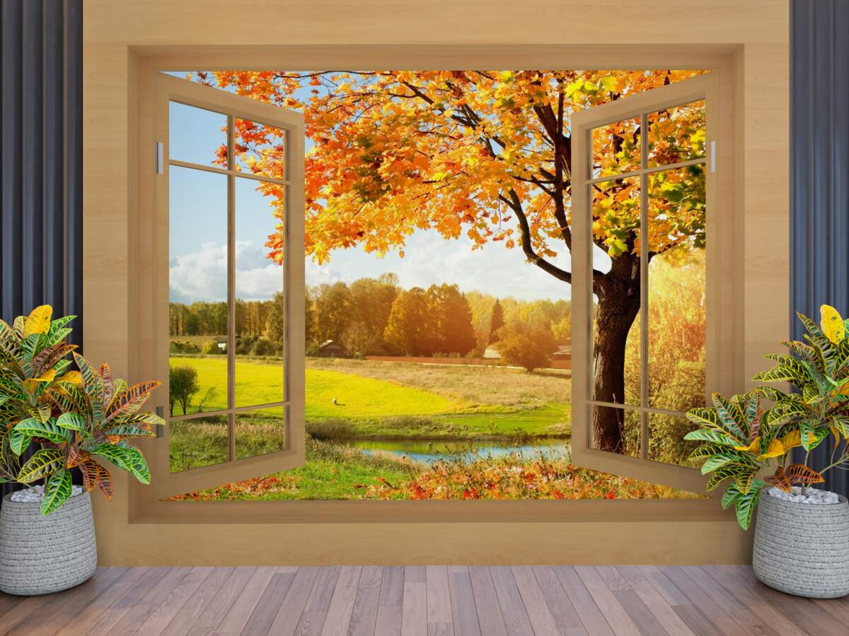 Fotobehang herfstuitzicht vanuit het raam