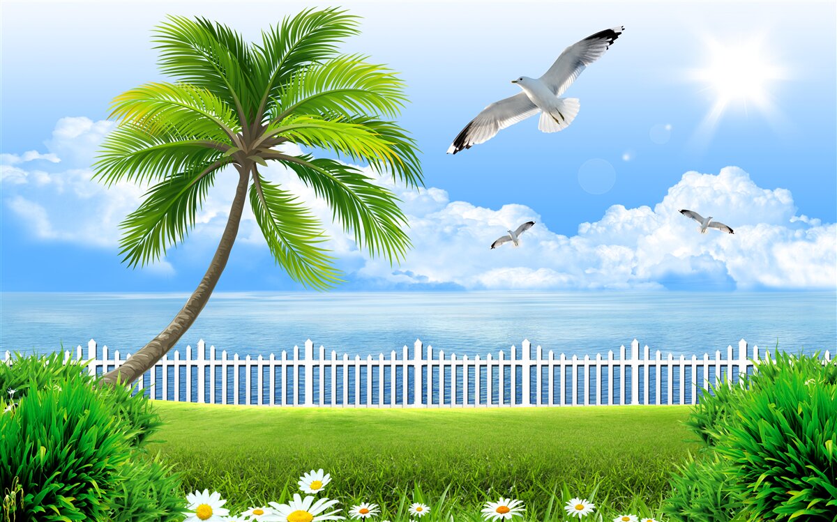 Fotobehang zonnige dag aan de kust