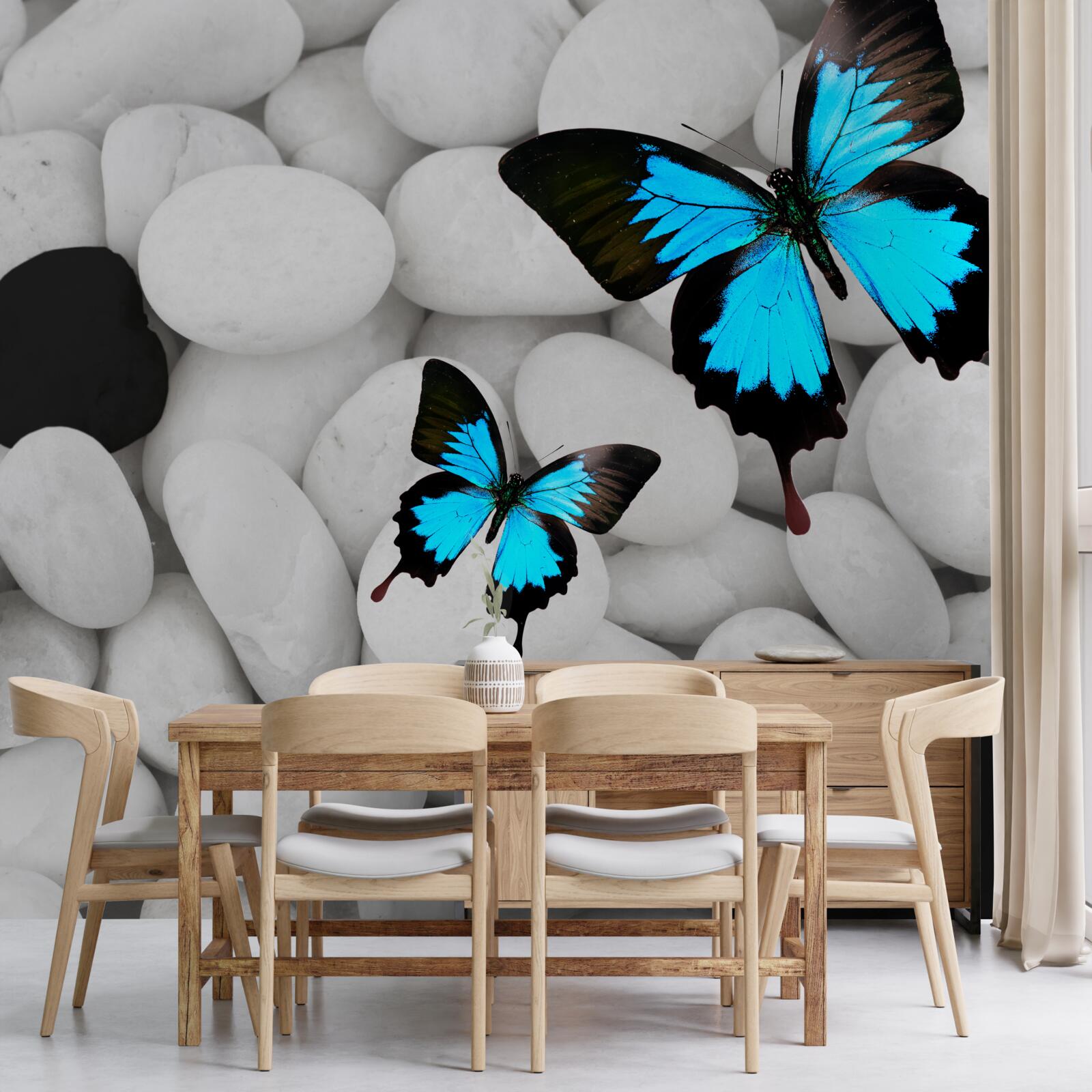 Fotobehang kleurrijke vlinders op heldere stenen