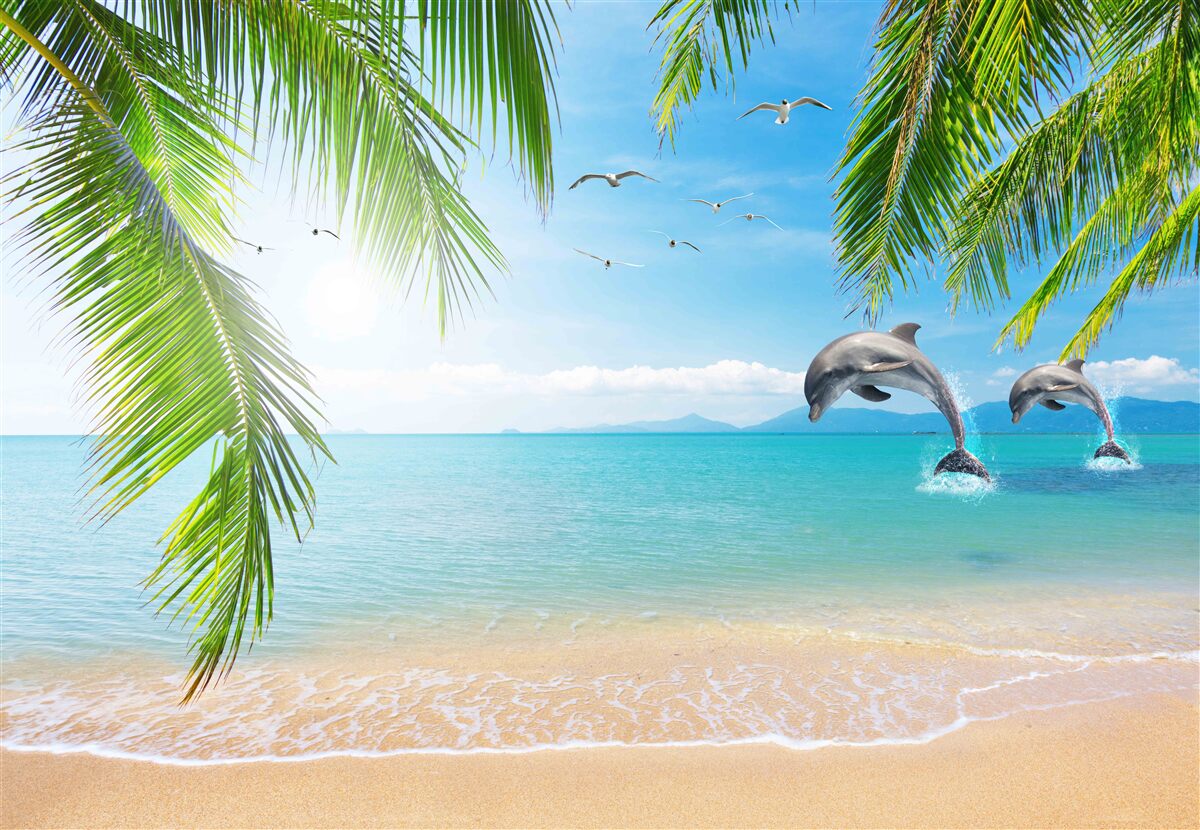 Fotobehang twee dolfijnen voor de kust met azuurblauw water