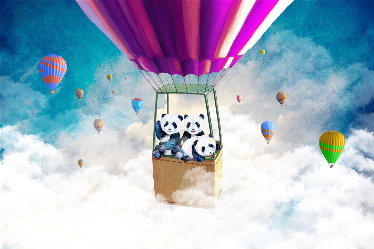 Fotobehang heteluchtballon tilt panda de lucht in
