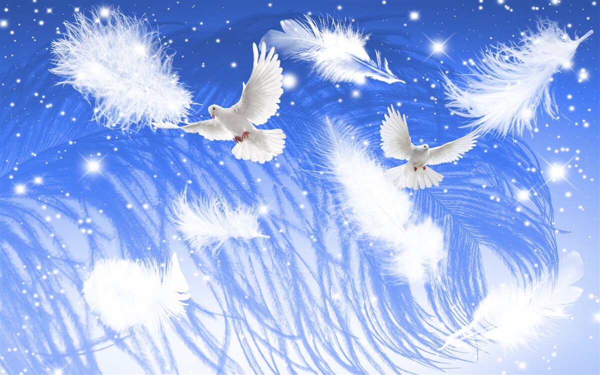 Fotobehang bewegend door de atmosfeer van heldere vogels en hun verenkleed