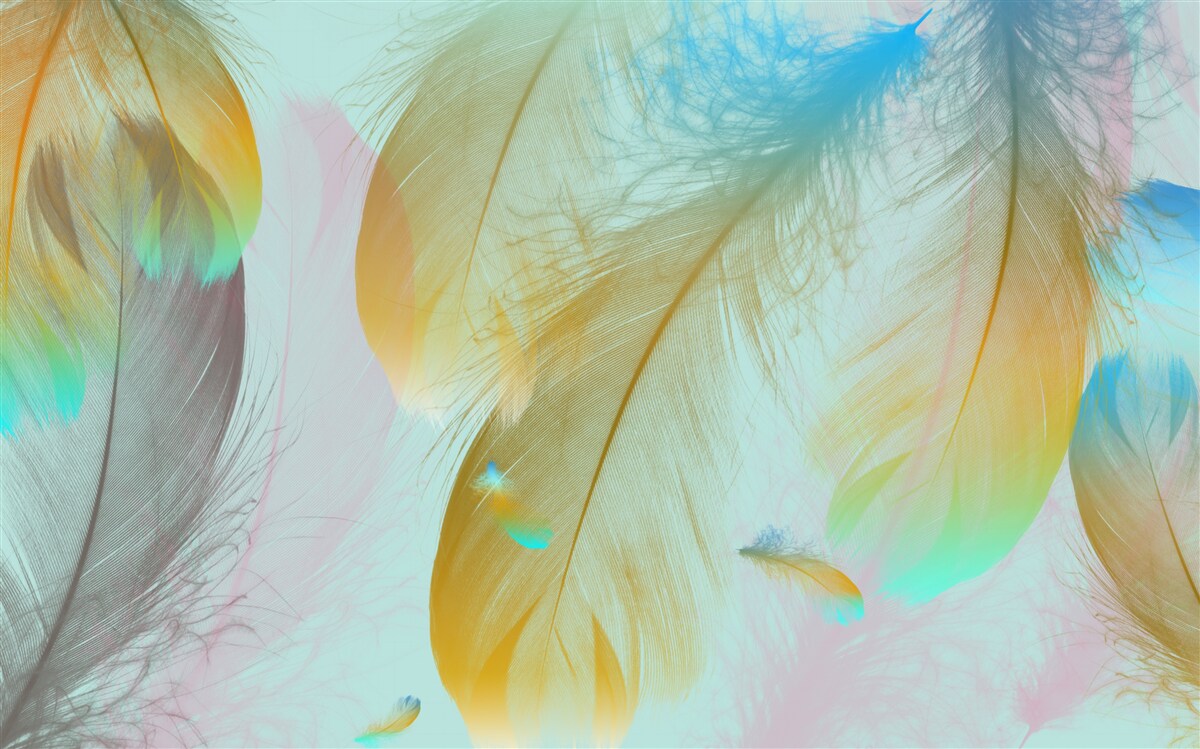 Fotobehang vliegende zachte veren