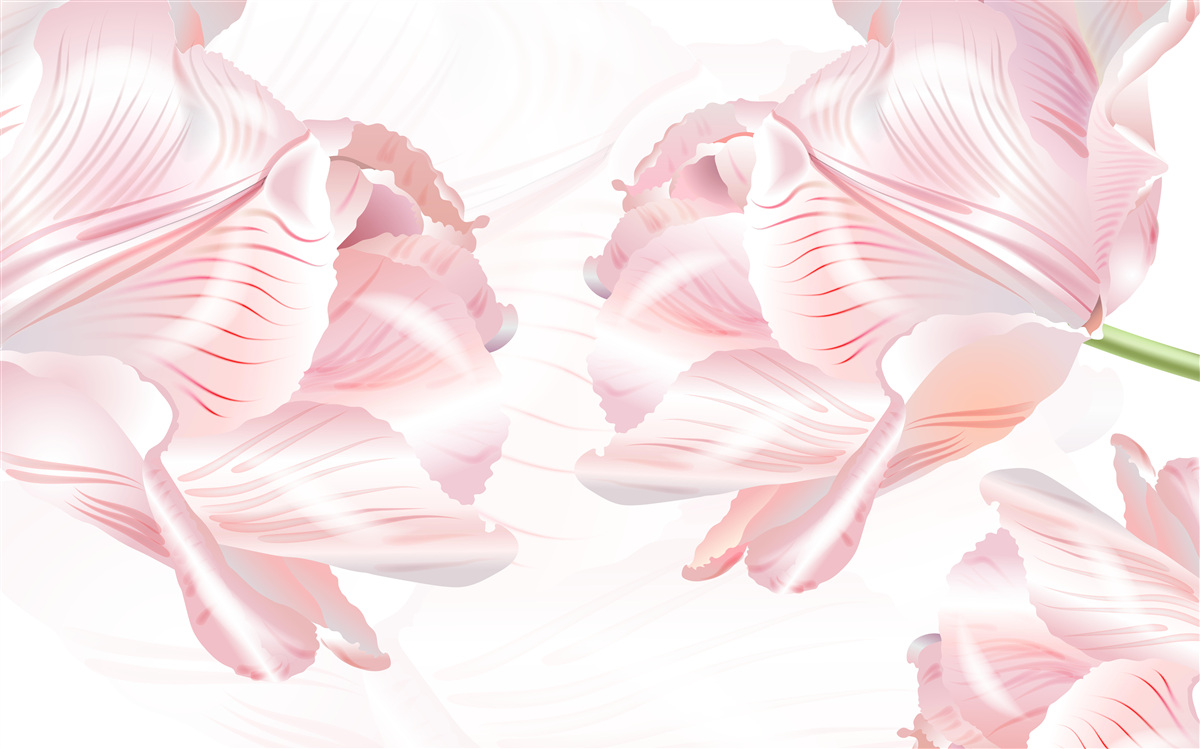 Fotobehang roze tulpen met een romantische uitstraling