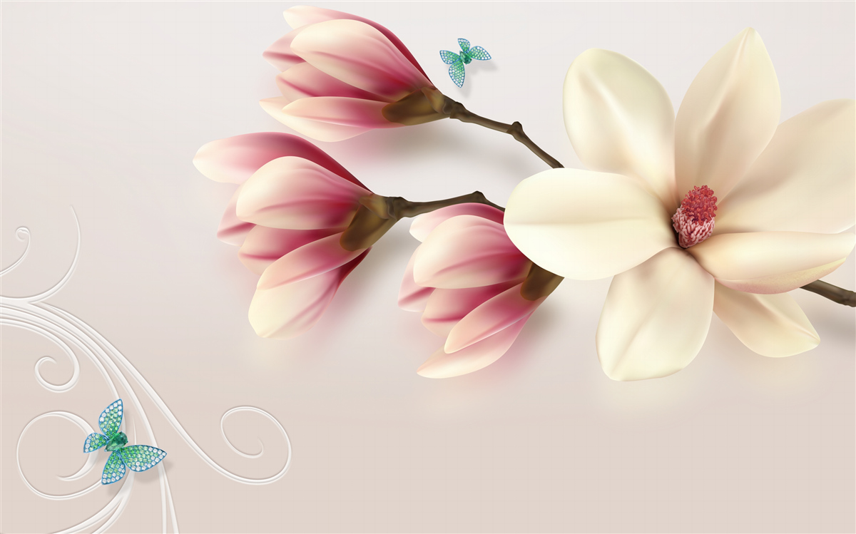 Fotobehang witte magnolia in volle bloei