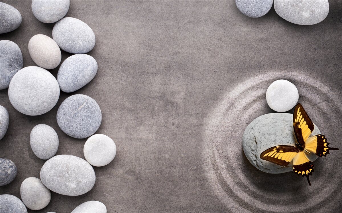 Fotobehang vlinder zit op een steen bij een vijver