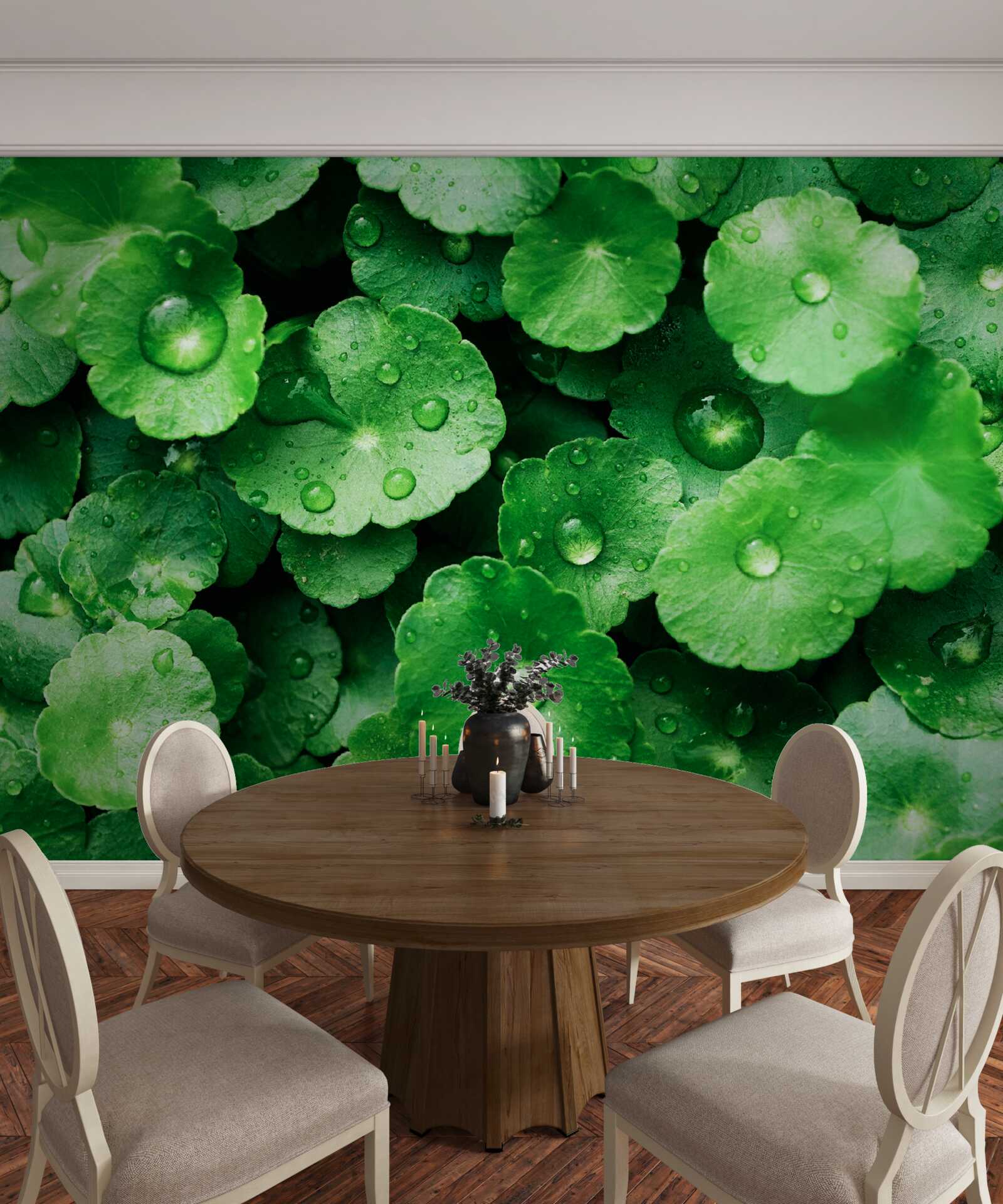 Fotobehang groene bladeren bedekt met verse waterdruppels