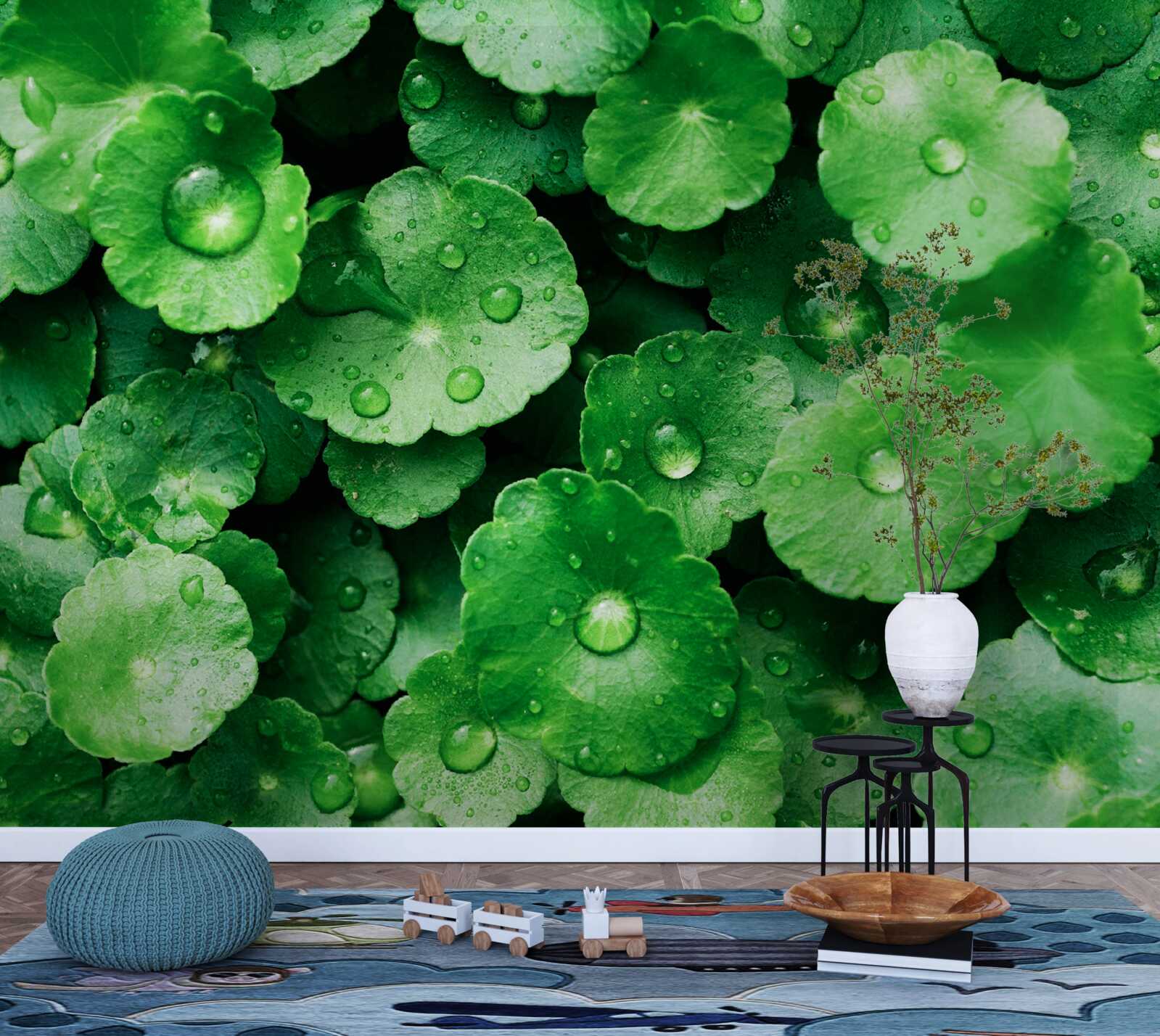 Fotobehang groene bladeren bedekt met verse waterdruppels