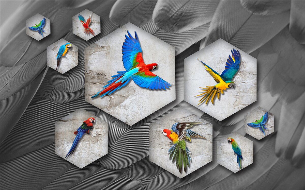 Fotobehang verschillende soorten gekleurde papegaaien