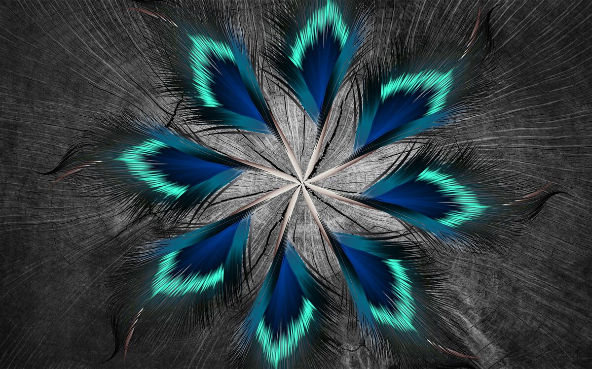 Fotobehang pauw stervormige veren met abstract ontwerp