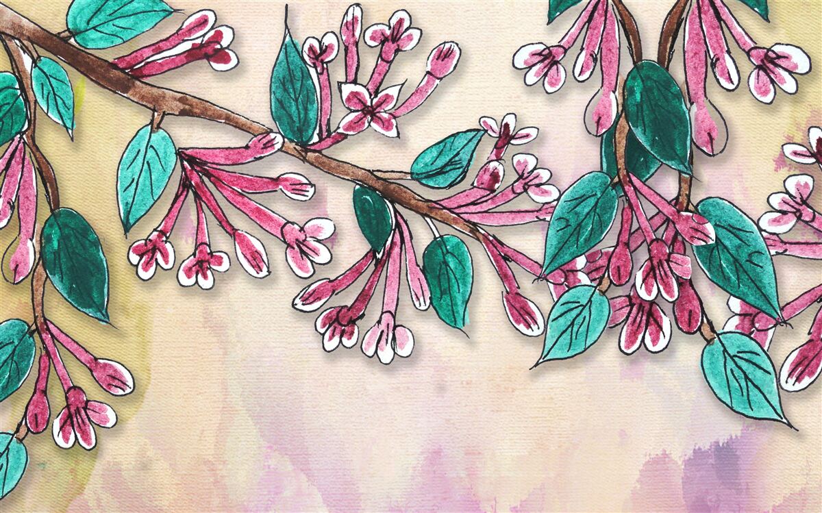 Fotobehang sakura tak bloeit en laat een