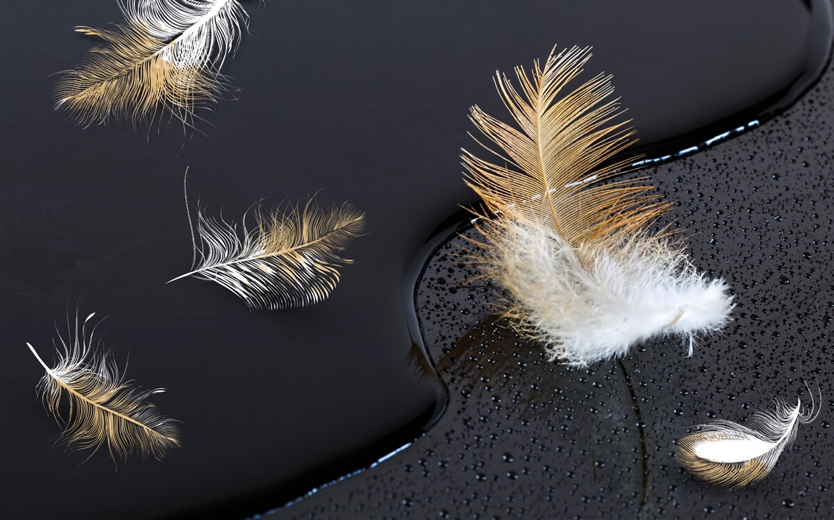 Fotobehang zacht dons in sneeuwwit en goud