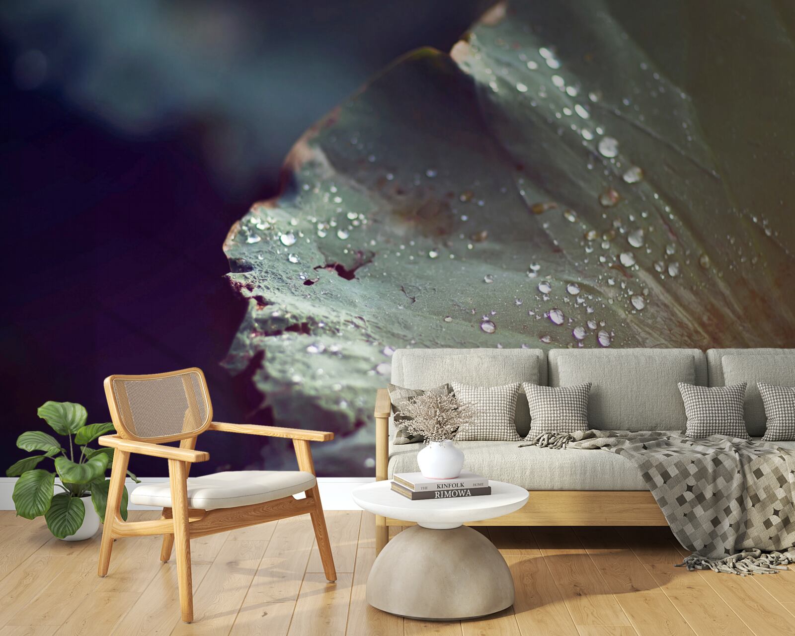 Fotobehang korrels vroege dauw op een blad