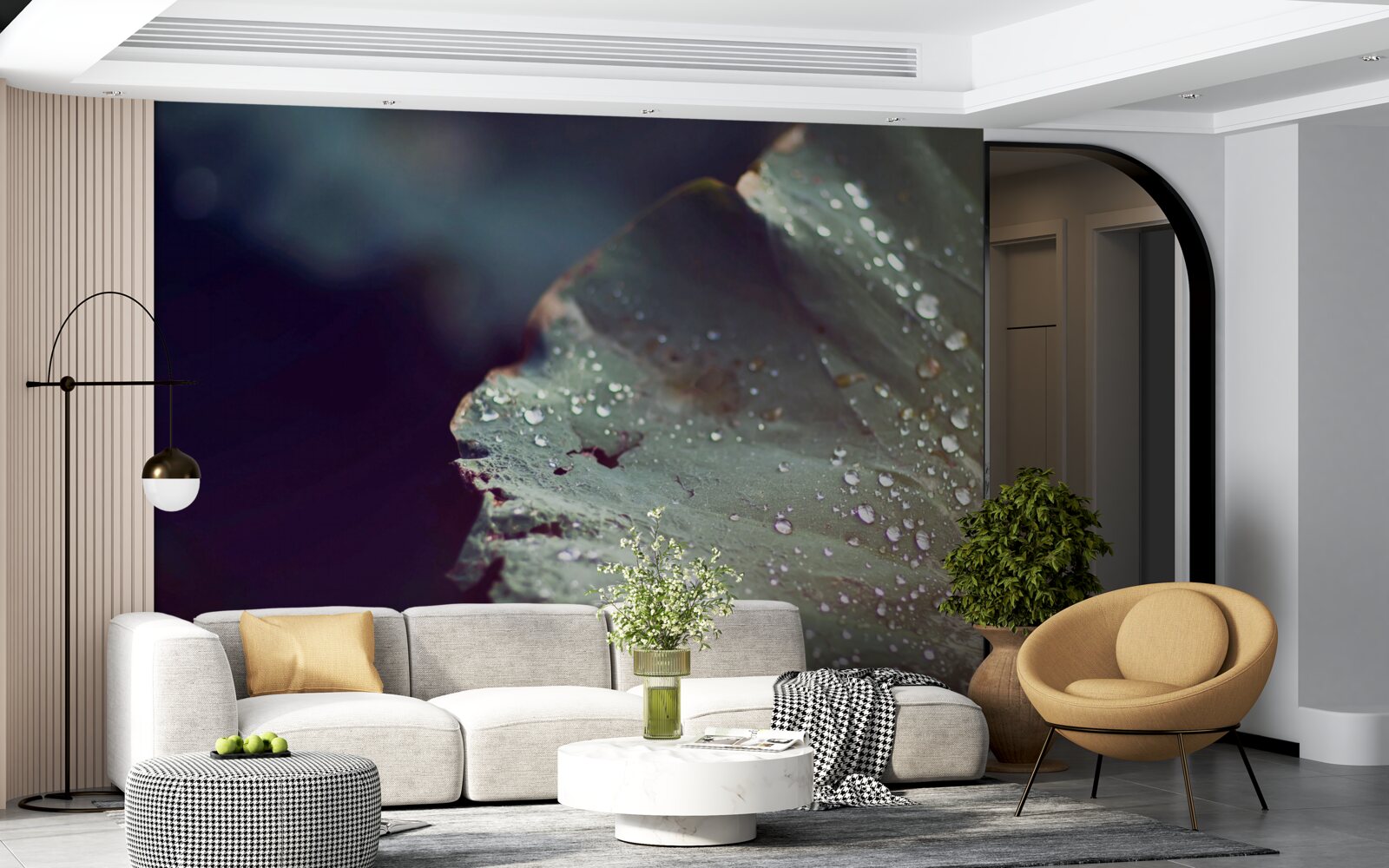 Fotobehang korrels vroege dauw op een blad