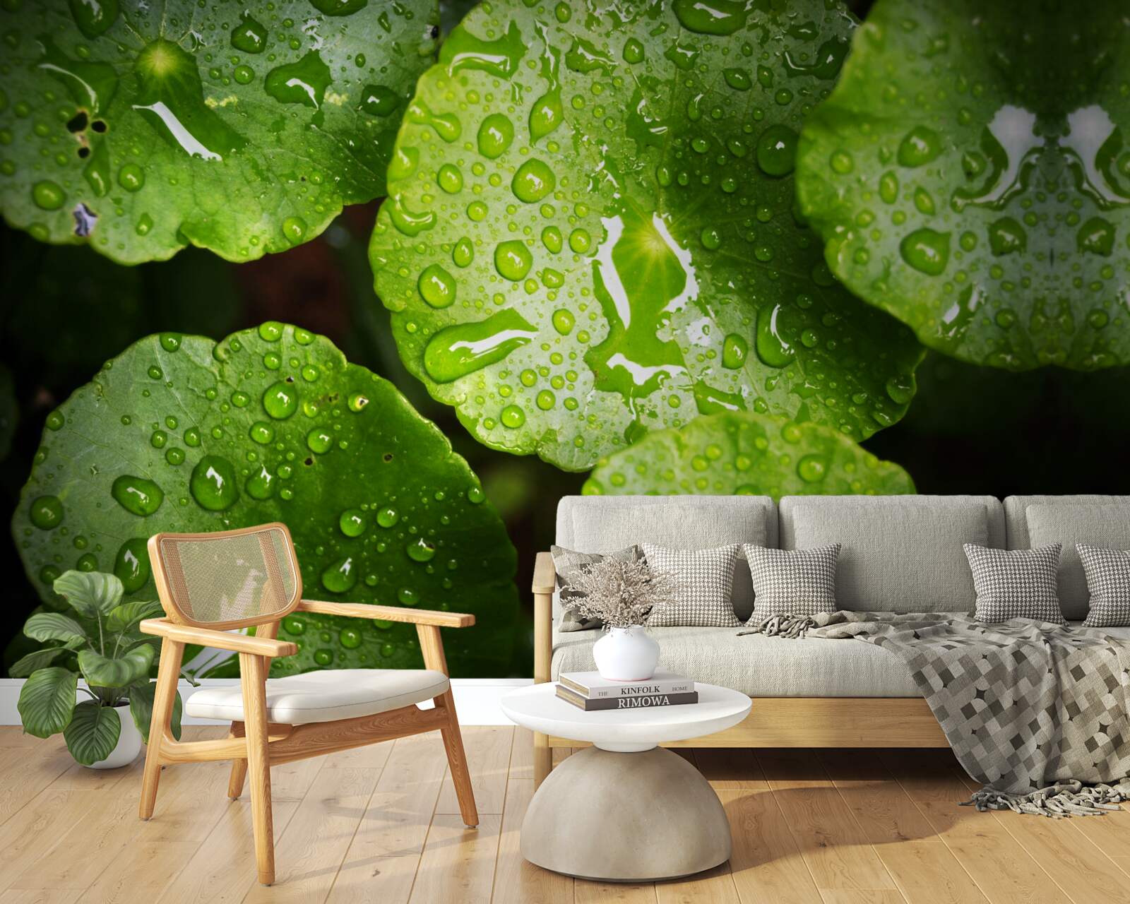 Fotobehang bladeren gewassen door regendruppels kregen een rijke groene tint