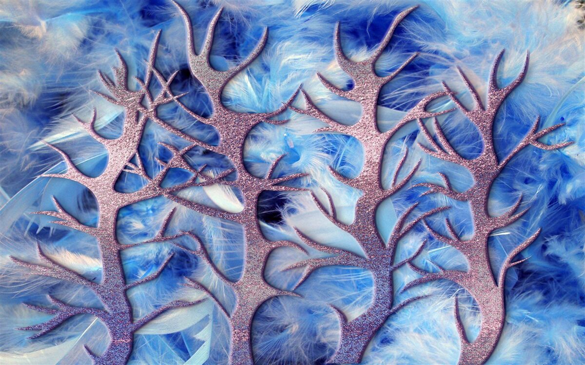 Fotobehang bos in de koude winter