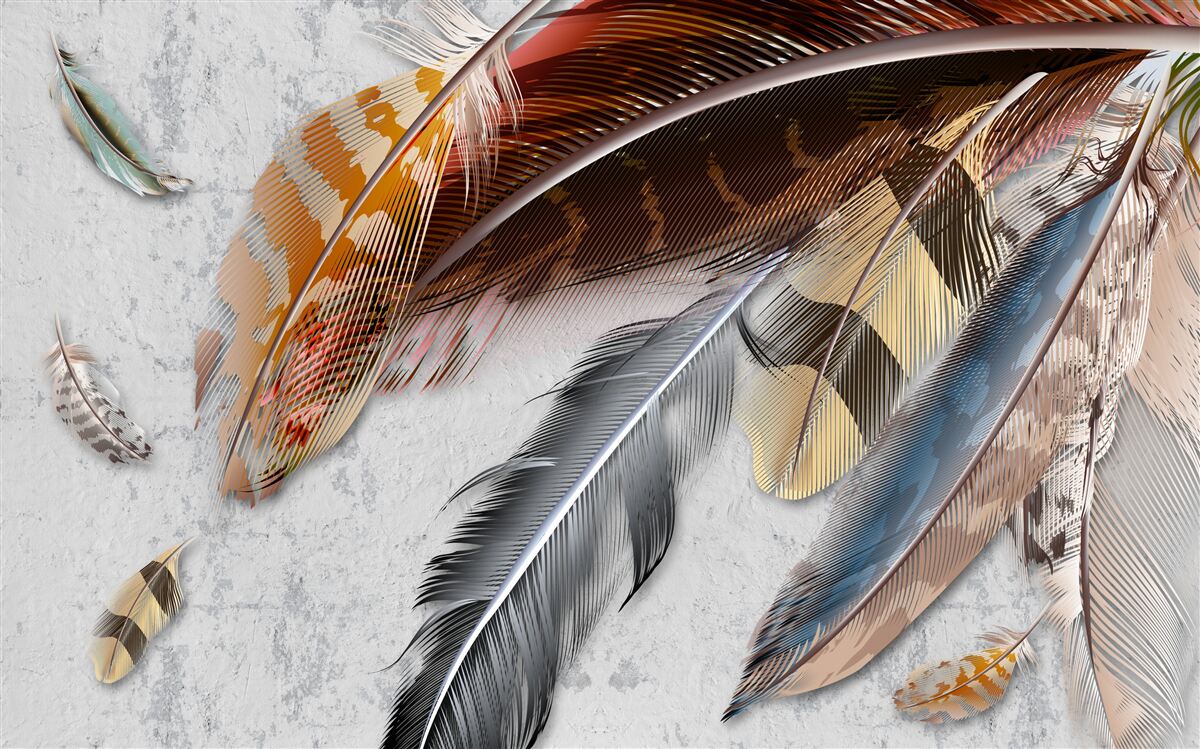 Fotobehang veren van verschillende vogelsoorten