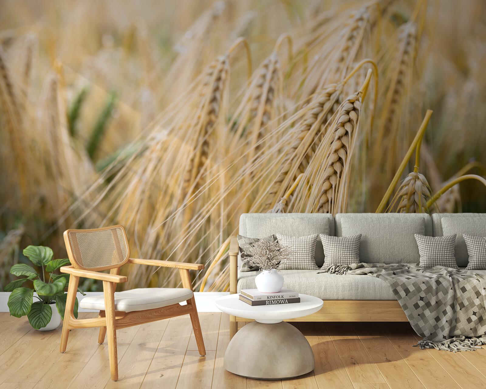 Fotobehang veld met rijpende tarwearen