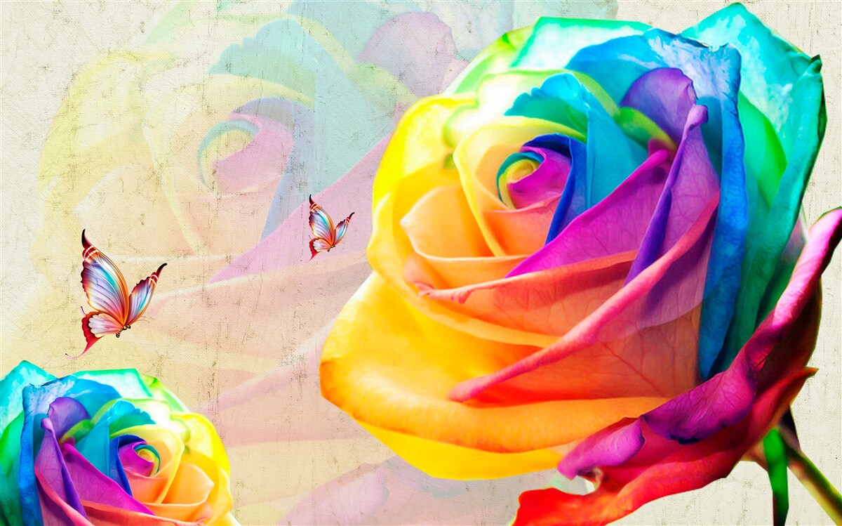 Fotobehang regenboogkleurige roos