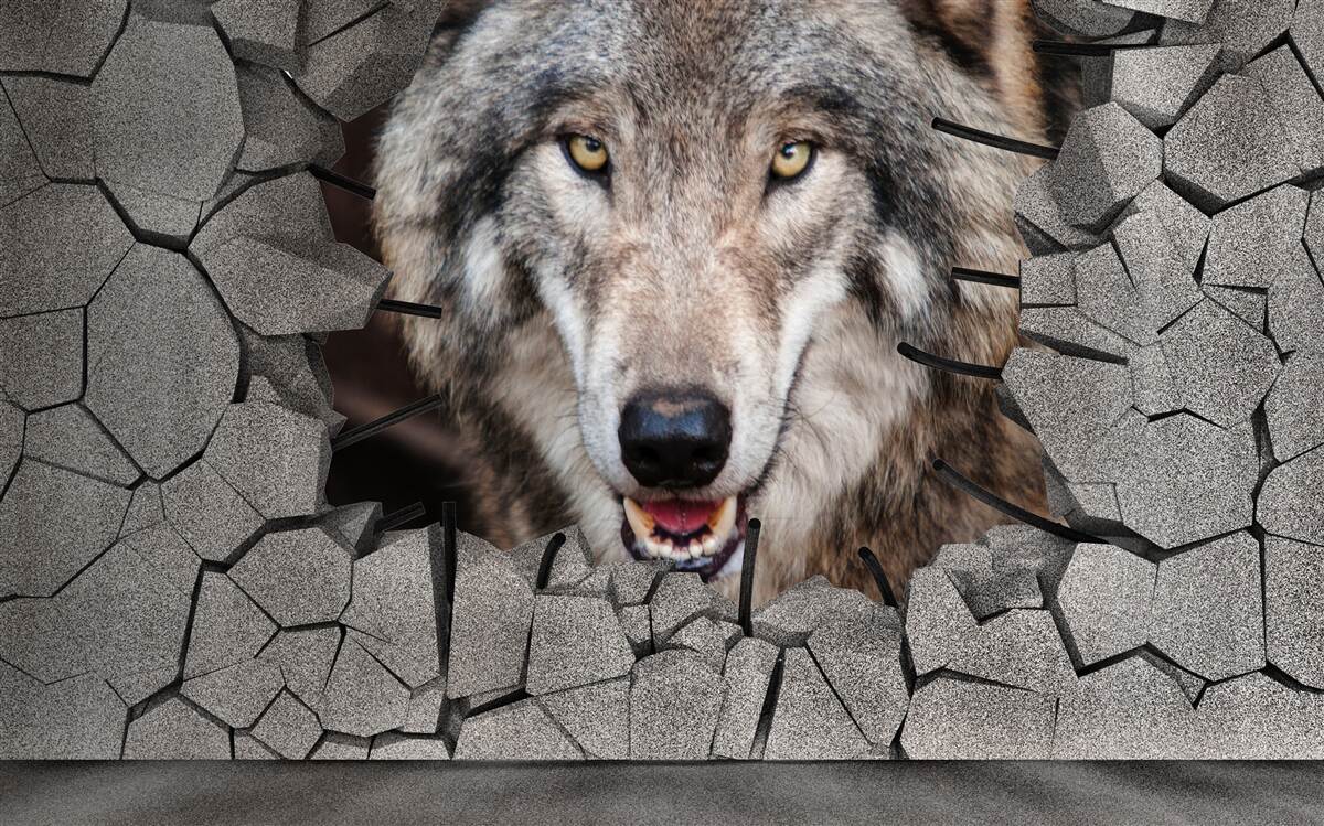 Fotobehang wolf van het woud vernietigt de muur