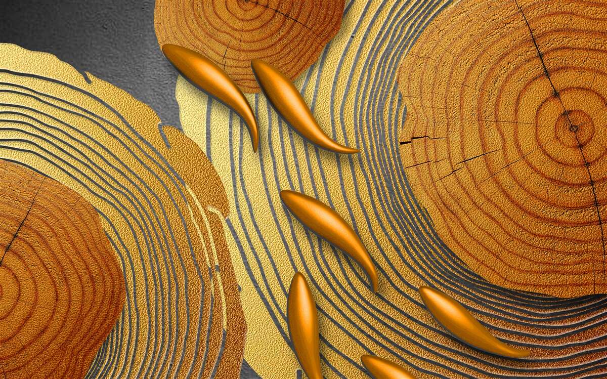 Fotobehang de beelden op de bomen zijn versierd met goudvissen