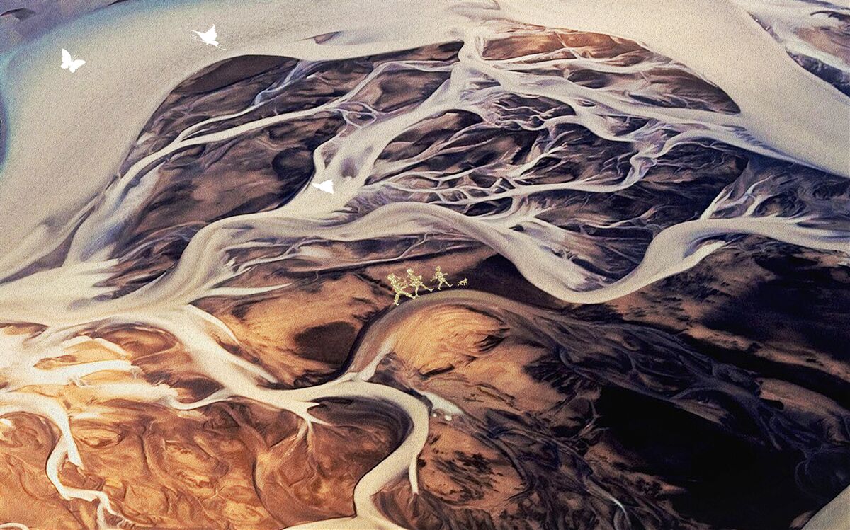 Fotobehang vals silhouet van een boom getekend op zand