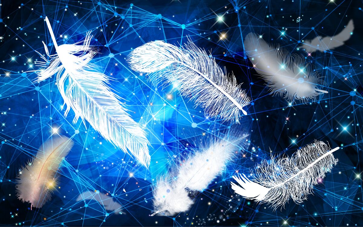 Fotobehang sterrenhemel als achtergrond voor witte veren